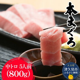 【ふるさと納税】本まぐろ お刺身用 中トロ5人前(800g) | マグロ 鮪 海鮮 刺し身 冷凍 大分県 九州 津久見市 国産 送料無料
