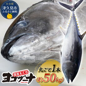 【ふるさと納税】マグロ まるごと1本 約50kg 豊後まぐろヨコヅーナ 大分県津久見市産 マグロ まぐろ 鮪 丸ごと 赤身 大トロ 中トロ トロ 刺身