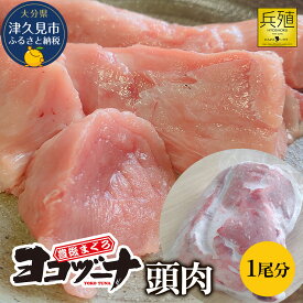【ふるさと納税】豊後まぐろ ヨコヅーナ 頭肉 1尾分 (4切) 鮪 マグロ 大分県 九州 津久見市 国産