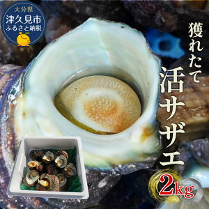yӂ邳Ɣ[Łzlꂽ TUG 2kg   h ĂTUG ڏĂ CY CN o[xL[ BBQ 啪 BY Ëvs Y 