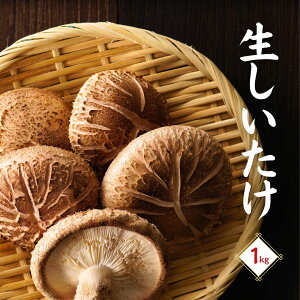 yӂ邳Ɣ[Łz 啪Y  ËvňĂ 1kg@|@Ëvs ő ۏ VC^P ̂ ① 啪 B Y Yn  ynH[z