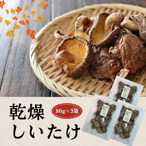 【ふるさと納税】 大分県産 しいたけ 津久見で育てた肉厚乾燥しいたけ 選べる 40g~80g / 1袋~4袋 | 津久見市 干し椎茸 菌床しいたけ シイタケ きのこ 乾物 大分県 九州 国産 産地直送 送料無