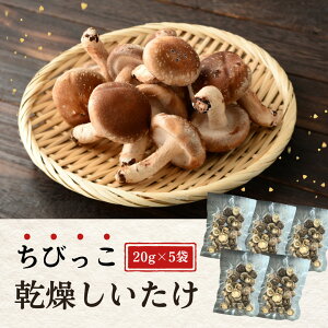 【ふるさと納税】 大分県産 しいたけ 津久見で育てたちびっこ乾燥しいたけ 選べる 3~5袋 (1袋20g) | 津久見市 干し椎茸 菌床しいたけ シイタケ きのこ 肉厚 小粒 乾物 大分県 九州 国産 産地