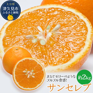 yӂ邳Ɣ[Łz܂Ń[[̂悤ȃvvH!TZu2kg(ϔ) 啪Y BY Ëvs Y 