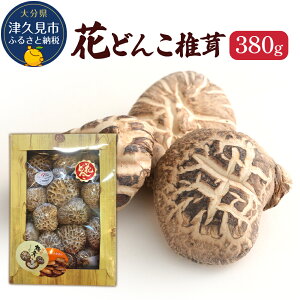 yӂ邳Ɣ[Łzō 啪Y Ԃǂ񂱒ő 260g / 380g ő  ؒő  VC^P BY Ëvs Y ^lΉ Ε 