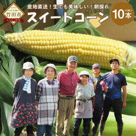 【ふるさと納税】＜ 卯野農場 ＞ 産地直送！生でも美味しい 朝採れ スイートコーン 10本 3.5kg以上 糖度18度 とうもろこし トウモロコシ コーン 野菜 竹田市 大分県 九州産 国産 送料無料【2024年7月上旬より順次発送】