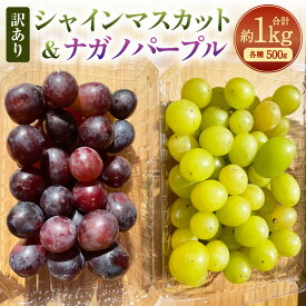【ふるさと納税】【数量限定】粒パック 訳あり シャインマスカット&ナガノパープル 1パック約500g 計約1kg 【2026年8月下旬-11月上旬発送開始予定】 2種類 セット ぶどう 葡萄 果物 フルーツ 冷蔵 大分県 竹田市 送料無料