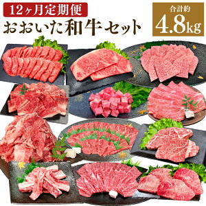yӂ邳Ɣ[Łzy12ցzւ a ZbgI 12 v4.8kg a ւ    a Y 4ȏ Hה y 啪Y |cs 