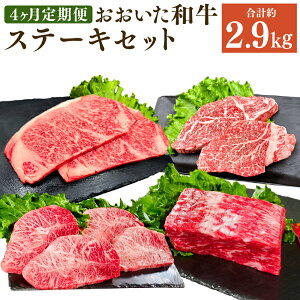 yӂ邳Ɣ[Łzy4ցzႤZbg͂I a Xe[L Zbg v2.9kg    a Y 4ȏ y Hה  啪Y |cs 