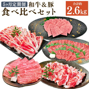 yӂ邳Ɣ[Łzy5ցz5ŐHהׁI 啪 Hה Zbg v2.6kg  ؓ   a a Y Y 4ȏ y Hה  啪Y |cs 