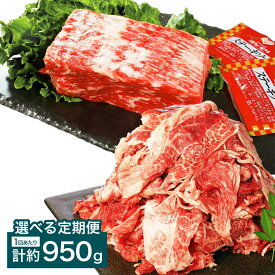【ふるさと納税】＜選べる定期便＞【ブロック＆切り落とし】おおいた和牛 1ポンドブロック（約450g）・切り落とし（約500g）セット ステーキソース付 1回あたり計約950g 1ヶ月毎 2回 3回 6回 和牛 牛肉 お肉 モモ ウデ バラ 赤身 冷凍 大分県産 国産 大分県 竹田市 送料無料