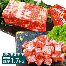 【ふるさと納税】＜選べる定期便＞【大容量！人気食べ比べセット！】おおいた和牛 サイコロステーキ・1ポンドブロックセット ステーキソース付 1回あたり計約1.7kg 各2パック 1ヶ月毎 2回 3回 6回 牛肉 お肉 赤身 ローストビーフ 焼肉 冷凍 国産 大分県産 竹田市 送料無料