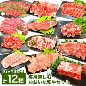 【ふるさと納税】【6ヶ月定期便】【毎月違う部位が届く！人気食べ比べセット！】6ヶ月毎月楽しむおおいた和牛セット 1ヶ月毎 6回 焼肉 スライス ステーキ 切り落とし 和牛 牛肉 豚肉 お肉 赤身 肩ロース ヒレ サーロイン 詰め合わせ 冷凍 国産 大分県産 竹田市 送料無料