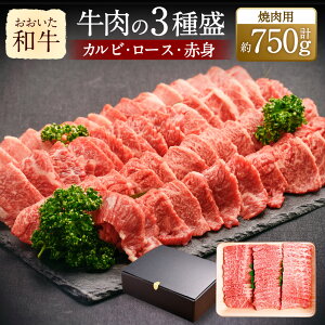 yӂ邳Ɣ[Łza ēɃsb^I3퐷 Jr [X Ԑg e250g×3 v750g  a Y  ēp BBQ lߍ킹 荇킹 ēZbg Zbg B Ⓚ 啪 