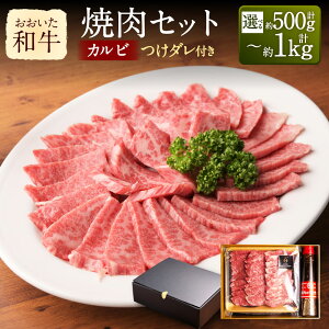 yӂ邳Ɣ[ŁzyIׂeʁza Jr ĂZbg 500g`1kg _t  a Y  ēp BBQ ē̂ ē̃^ ēZbg Zbg B Ⓚ 啪 啪Y 