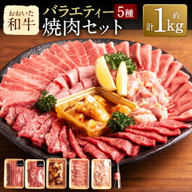 【ふるさと納税】おおいた和牛 五種のバラエティー 焼肉セット 計約1kg つけだれ付き おおいた冠地どりもも 牛タン 国産牛小腸ホルモン 牛肉 和牛 国産 肉 焼肉用 カルビ ロース 鶏モモ 鶏肉 ホルモン セット 九州 冷凍 大分県産 竹田市 送料無料
