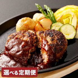 【ふるさと納税】【選べる定期便】【黒毛和牛】 おおいた和牛 ハンバーグ 1回につき約1.02kgお届け 2ヶ月/3ヶ月/6ヶ月 定期便 2.04kg～6.12kg 豊後牛 ブランド牛 牛肉 和牛 お肉 赤身 牛赤身肉 合挽肉 国産 九州産 冷凍 大分県 竹田市 送料無料