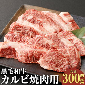 yӂ邳Ɣ[Łzyјaz a Jrēp 300g i150g×2pbNj  L㋍ uh Jr  a   ē Ă ēp r[t 蕨 Y BY Ⓚ