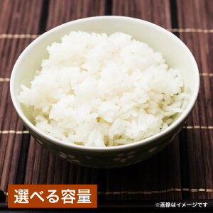 yӂ邳Ɣ[Łz Iׂeʁߘa7NY 啪Y  5kg×1 / v10kgi5kg×2܁j  10   ͂  啪Y Y B 啪 |cs  y2025N10{