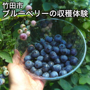 yӂ邳Ɣ[Łzy1g5܂Łz`RLȋvZňu[x[̎ň`nu[x[̂yYtIy̌ԁFN6{`8{z `Pbg 1  ʕ 
