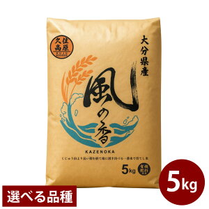 yӂ邳Ɣ[ŁzIׂi큄ߘa7NY V vZY ЂƂ߂ڂEqmqJ 5kg     Pꌴ ͂  ٓ ɂ 啪Y Y 啪 |cs  y20