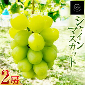【ふるさと納税】九州アルプスで育ち竹田市名水で実を付けたシャインマスカット 2房 1房あたり約300～約450g シャインマスカット ぶどう ブドウ 葡萄 フルーツ くだもの 果物 果実 デザート 国産 九州 大分県産 竹田市 送料無料 【2026年9月上旬～10月上旬まで順次発送予定】