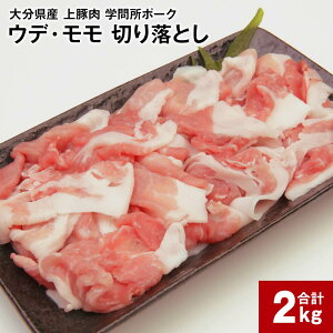 yӂ邳Ɣ[Łz啪Yؓ uw⏊|[Nv EfE ؂藎Ƃ ^pbN  v2kg ؓ  ؃Ef ؃ Ⓚ BY Y 啪 |cs  yVX[p[SALE 