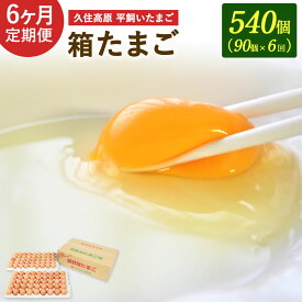 【ふるさと納税】 定期便 6回 久住高原 平飼いたまご 箱たまご 5kg×6ヶ月 合計30kg 540個 箱 卵 たまご タマゴ 玉子 生卵 鶏卵 大分県産 九州産 冷蔵 送料無料
