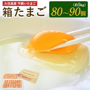 【ふるさと納税】久住高原 平飼いたまご 箱たまご 5kg 80〜90個 箱 卵 たまご タマゴ 玉子 生卵 鶏卵 大分県産 九州産 冷蔵 送料無料