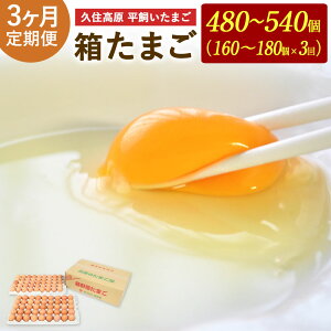 yӂ邳Ɣ[Łz  3 vZ ܂ ܂ 10kg×3 v30kg 480`540   ܂ ^}S ʎq  { 啪Y BY ①  yVX[p[SALE 9J