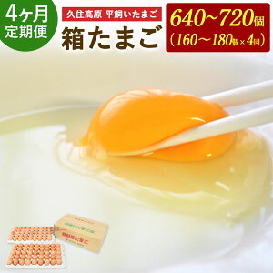 yӂ邳Ɣ[Łz  4 vZ ܂ ܂ 10kg×4 v40kg 640`720   ܂ ^}S ʎq  { 啪Y BY ①  yVX[p[SALE 9J