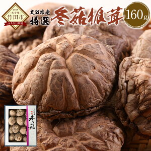 yӂ邳Ɣ[Łz啪Y Iǂ񂱒ő 160g   VC^P ǂ ̂  Y BY   FT15 