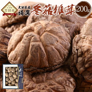 yӂ邳Ɣ[Łz啪Y ǂ񂱒ő 200g   VC^P ǂ ̂  Y BY   FT20 