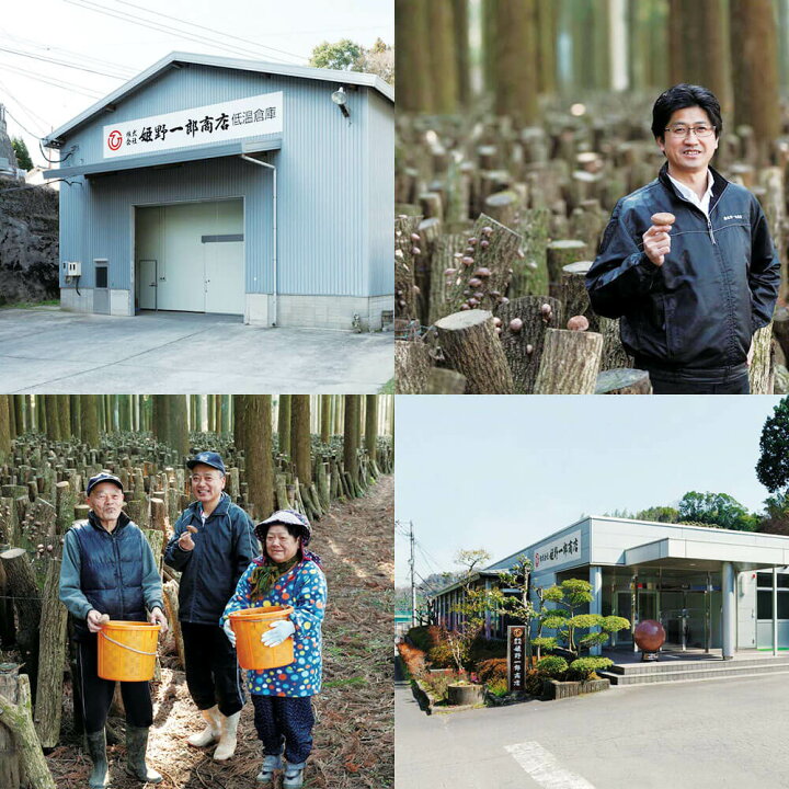 楽天市場】【ふるさと納税】大分県産 特選香信 160g 乾しいたけ こうしん 椎茸 しいたけ シイタケ きのこ 干し 国産 九州産 だし 原木 FK10 送料無料 : 大分県竹田市 楽天市場】【ふるさと納税】大分県産 特選香信 160g 乾しいたけ こうしん 椎茸 しいたけ シイタケ きのこ 干し 国産 九州産 だし 原木 FK10 送料無料 : 大分県竹田市
