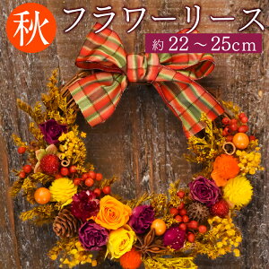 【ふるさと納税】 【ドライフラワー】 秋のフラワーリース 約22〜25cm ドライフラワー プリザーブドフワラー リース 花 インテリア プレゼント ギフト 手作り ハンドメイド 贈り物 お祝い 内
