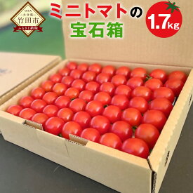 【ふるさと納税】まごころミニトマトの宝石箱 1.7kg 約80～110玉 ミニトマト とまと 野菜 大分県 竹田市 荻町産 九州産 国産 新鮮 送料無料【2026年7月上旬から11月下旬まで発送予定】