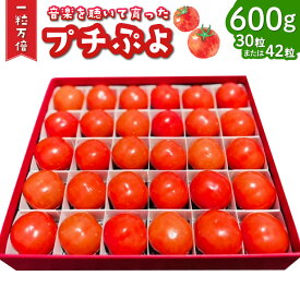 【ふるさと納税】音楽を聴いて育った プチぷよ🍅 一粒万倍 黒／赤BOX【30粒or42粒】約600g プチぷよ ミニトマト トマト とまと 野菜 高糖度 箱 国産 大分県産 竹田市 送料無料【2026年7月上旬-11月上旬発送予定】