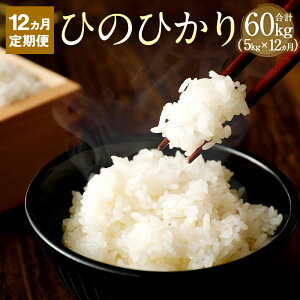 yӂ邳Ɣ[Łzy12ցz |csY 炿 Ђ̂Ђ 5kg×12 v60kg     啪Y BY qmqJ 啪 |cs 