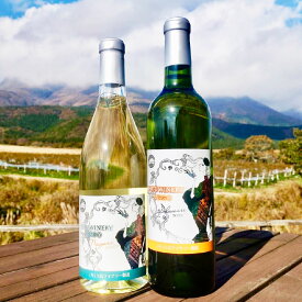 【ふるさと納税】ラブルスカ系品種（ナイアガラ・デラウェア）2本セット 白ワイン ワイン 白ワインセット ワインセット セット 白 飲み比べ お酒セット お酒 酒 洋酒 大分県産 竹田市 常温 送料無料