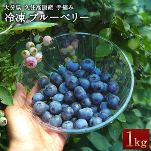 yӂ邳Ɣ[ŁzⓀ u[x[ 1kg ͔|Ԓ _sgp E VN W X[W[ [Og t[c ʕ Yi Y Y Y B 啪 |cs vZY y20