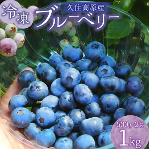 yӂ邳Ɣ[Łz vZ Ⓚ u[x[ 500g 2 v1kg  ͔|Ԓ _sgp E VN W X[W[ [Og t[c ʕ Yi Y Y Y B 啪 |c