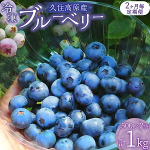 yӂ邳Ɣ[Łz yIׂցzvZ Ⓚ u[x[ 500g 2 v1kg  ͔|Ԓ _sgp E VN W X[W[ [Og t[c ʕ Yi Y Y 