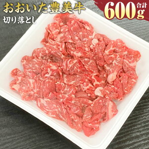 yӂ邳Ɣ[ŁzL ؂藎Ƃ 600g 300g×2pbN   a Ƃ݋ Ă Ԃ Ⴊ uߕ Ⓚ 啪Y BY Y  yVX[p[SALE 9J