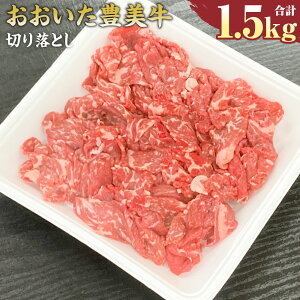 yӂ邳Ɣ[ŁzL ؂藎Ƃ 1.5kg 300g×5pbN   a Ƃ݋ Ă Ԃ Ⴊ uߕ Ⓚ 啪Y BY Y  yVX[p[SALE 9J