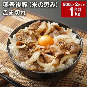 yӂ邳Ɣ[ŁzL؁iĂ̌b݁j ܐ؂ v1kg 500g×2pbN   ؓ uh 啪Y Ⓚ pbN 啪 |cs  yVX[p[SALE 9J