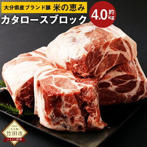 yӂ邳Ɣ[Łz啪Y uh؁uĂ̌b݁vJ^[X ubN 4.0kg 2.0kg×2   ؓ Y Ƃ񂩂 geL [X ubN ܂  ܂ BBQ Lv Ⓚ 啪