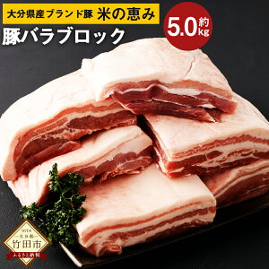 yӂ邳Ɣ[Łz啪Yuh L؁iĂ̌b݁jo ubN 5.0kg 2.5kg×2   ؓ Y p `[V[ ؃o ubN ܂  ܂ BBQ Lv Ⓚ 