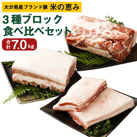 【ふるさと納税】大分県産ブランド豚 奥豊後豚（米の恵み）3種ブロック 食べ比べセット 合計7.0kg 肉 豚 豚肉 国産 定期便 ロース 肩ロース ブロック ブロック肉 かたまり 塊 かたまり肉 角煮 チャーシュー とんかつ トンテキ BBQ キャンプ 冷凍 大分県 竹田市 送料無料