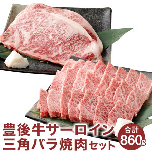 yӂ邳Ɣ[ŁzL㋍ ē Zbg T[C Xe[L 360g Opo 500g v860g   a L㋍  Y јa јa a Ⓚ Y BY |cs 啪Y  y