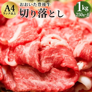 yӂ邳Ɣ[ŁzL㋍ ؂藎Ƃ 500g 250g×2pbN hјa |c L㋍ јa a  A4Nȏ ؗ Ԑ؂  Ⓚ Ă Ⴊ Ԃ 